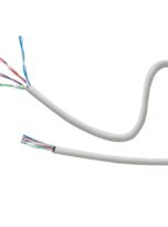 NT305