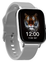 T13S-silver-02-25